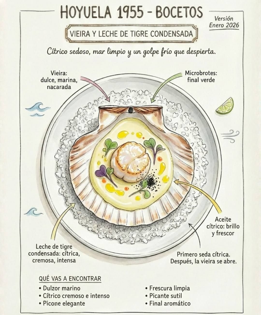 Boceto · Vieira y leche de tigre